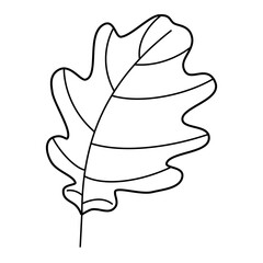 Oak leaf contour drawing isolated cutout black and white vector clipart illustration. Autumn leaves line art design element. Nature pictogram, logo or icon. Tree foilage simple cartoon doodle.