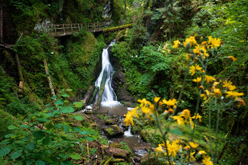 Wasserfall in Lotenbachklamm in der Wutachschlucht i, Schwarzwald in Baden-Württemberg in...