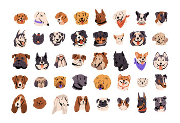 Cute dog avatars set. Puppy face portraits of various doggy breeds. Happy and funny animals, pet muzzles of bulldog, terrier, pug, doberman, corgi, labrador. Flat isolated vector illustration on white © Paper Trident