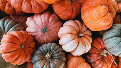 Fall background with variety of orange pumpkins.