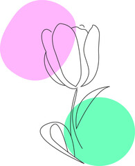 illustration of a tulip vector