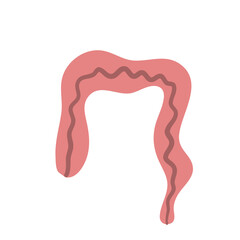 Large Intestine Illustration
