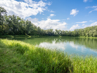 Fototapeta na wymiar Green landscape and pond in Germany.