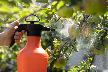 Spraying Apple Tree in Apples Garden against Diseases and Pests. Spraying Pesticides. Protect Care Apple Harvest.