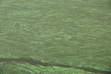 Algen im Mittellandkanal