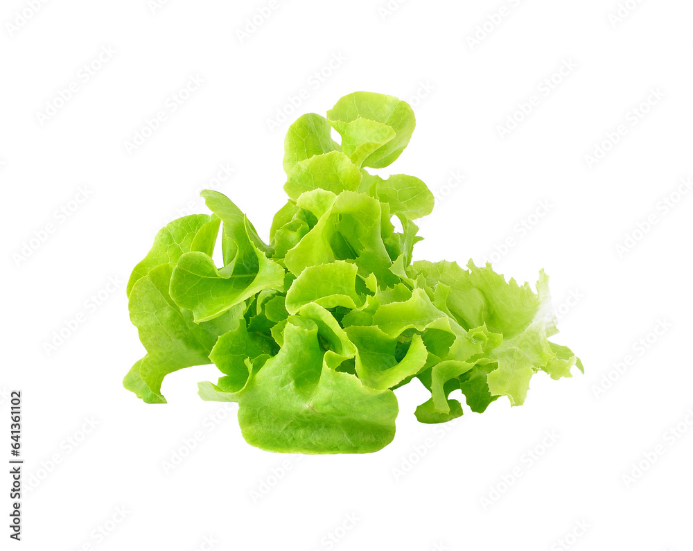 Sticker fresh green lettuce leaves transparent png