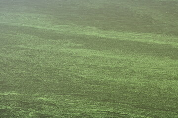 Algen im Mittellandkanal