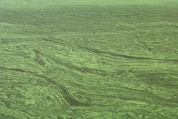 Algen im Mittellandkanal