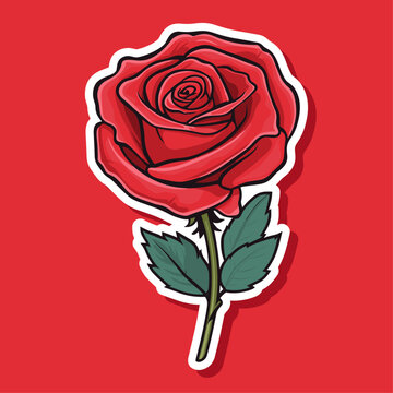 Vector a red rose flat cartoon style isolated sticker ruby rose flower with green leaves, sketch style illustration