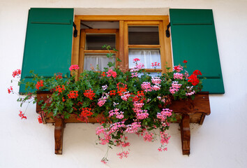 rustic windows with cute white curtains, green wooden shutters and red geraniums on the window ledge in the Bavarian alpine countryside Schwangau in the German Alps, Bavaria, Germany