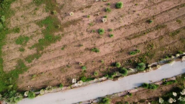 The Street is in between empty land