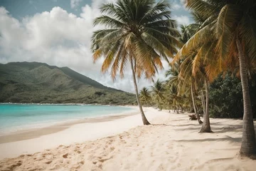 Foto op Plexiglas Sunny sandy beach with palm trees and mountains © porschler