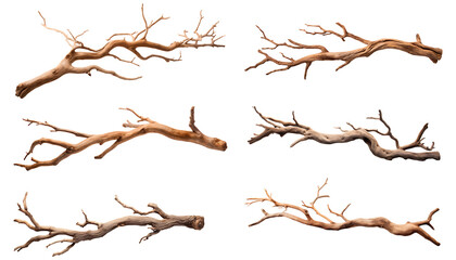 Dry wood branch set isolated on transparent background. Treewood branch png bundle