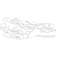 Log Moss Nature 2D Outline Illustrations