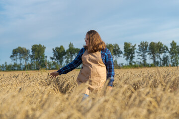Portrait of cheerful brown haired plus size caucasian woman in blue checkered shirt and beige apron walking on agricultural field and touching ripe ears of wheat in a summer day. Agritourism theme.