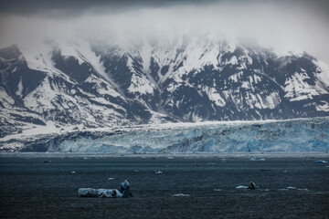 Cruise to Hubbard Glacier Bay in Alaska with floating ice bergs and drift ice floes on ocean water...