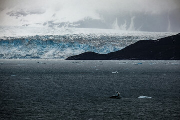 Cruise to Hubbard Glacier Bay in Alaska with floating ice bergs and drift ice floes on ocean water...