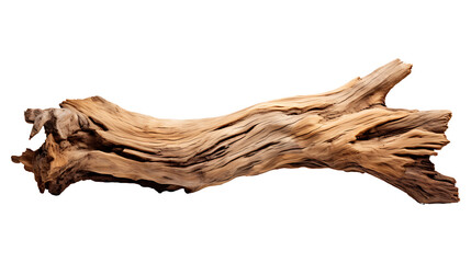 Dry wood isolated on transparent background. Tree wood png