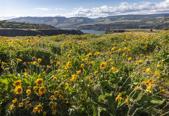 Columbia River Gorge, Oregon.