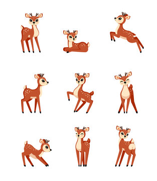 baby deers set. forest animals set, cute fantasy childish baby deer standing and lying in different poses. vector cartoon animals set.