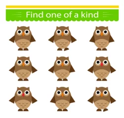 Fotobehang Educational game for children. Need to find one of a kind owl. © Faziljan
