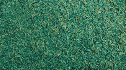Abstract synthetic field grass