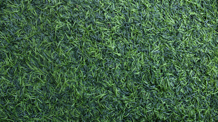 Abstract synthetic field grass