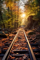 Naklejka premium railroad in autumn