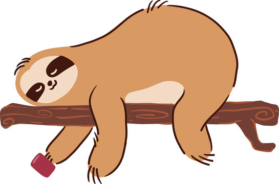 Sloth bear with cup of coffee . Hand drawn style . PNG .