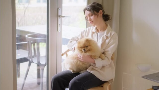 Young beautiful woman sitting on chair near window resting with her dog Pomeranian breed. Cute student spends time at home with her pet and petting him. Happy domestic animal in arms of his owner