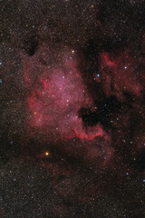 North America Nebula NGC 7000