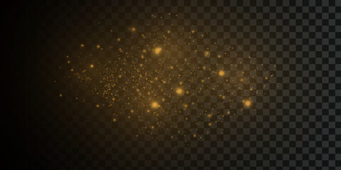 Gold Light. Vector Glitter Particles. Shining Bokeh