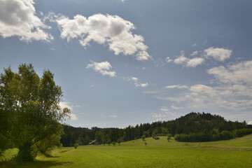 sommerlandschaft