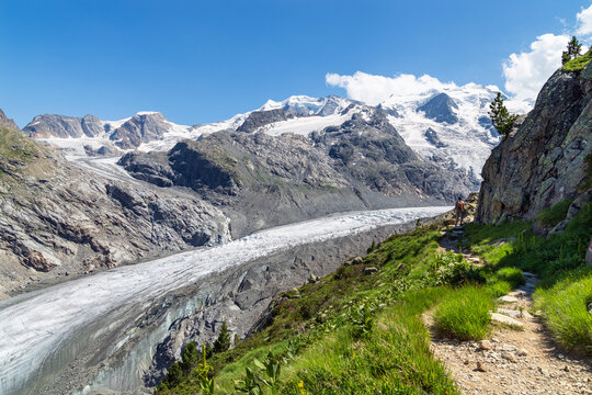 Wanderweg zur Bovalh&uuml;tte, Chamanna da Boval, mit Blick auf den Morteratsch-Gletscher und die Berge der Bernina-Gruppe, Pontresina, Engadin, Graub&uuml;nden, Schweiz