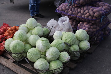 Fresh white cabbage is sold in the market. Autumn vegetables.