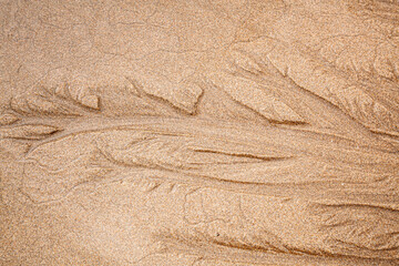 huellas de las olas del mar sobre la arena a la orilla de la playa - obrazy, fototapety, plakaty