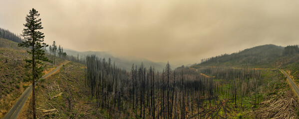 California Wildfire Smoke