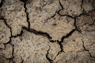 broken soil picture from the summer drought. In the area of ​​Thailand, texture images, background, close-up images