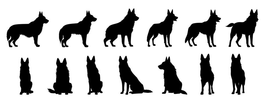 set of silhouettes of german shepherd dog sit and standing. isolated on a transparent background, eps 10