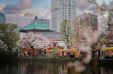 Obraz premium Templo de Bentendo Tokio Japón