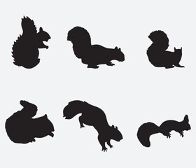 Squirrel silhouette. Set. Vector illustration isolated