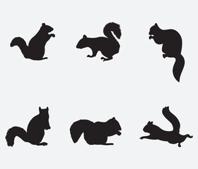Squirrel silhouette. Set. Vector illustration isolated