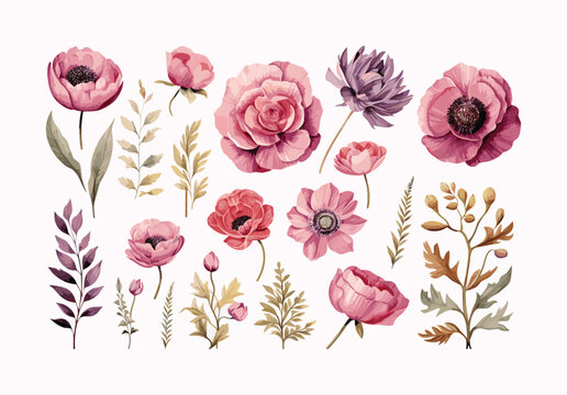 Set of hand-painted watercolor floral illustrations featuring eucalyptus, tulips, peonies, roses, anemones, and leaves. All natural objects are isolated on a white background.