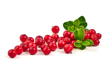 Fresh wild lingonberry berries with leaves, isolated on white background.