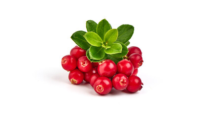 Wild cowberry, foxberry, lingonberry with leaves, isolated on white background. High resolution...
