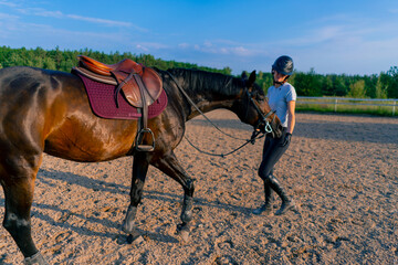 A helmeted rider feeds her beautiful black horse from her hand in the equestrian arena during a...