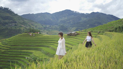 farmer women lady with fresh paddy rice terraces, green agricultural fields in countryside or rural area of Mu Cang Chai, mountain hills valley in Asia, Vietnam. Nature landscape. People lifestyle.