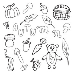 seamless pattern. textile. pattern. style. autumn. leaf fall. bear. basket with mushrooms. mushrooms. doodle drawing. postcard. background picture. actual colors.