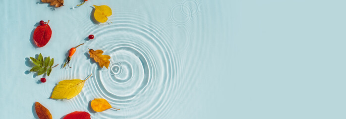 Autumn background with colorful autumn leaves on the water with rain drops