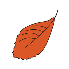 autumn leaf line sketch. Leaf. nature. coloring. vector illustration.